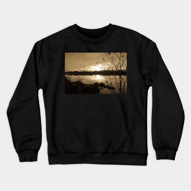 seed heads Crewneck Sweatshirt by sma1050